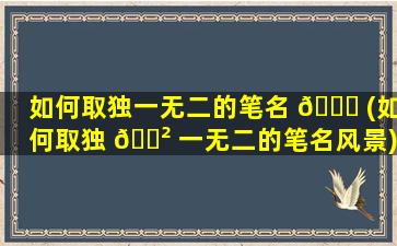 如何取独一无二的笔名 💐 (如何取独 🌲 一无二的笔名风景)